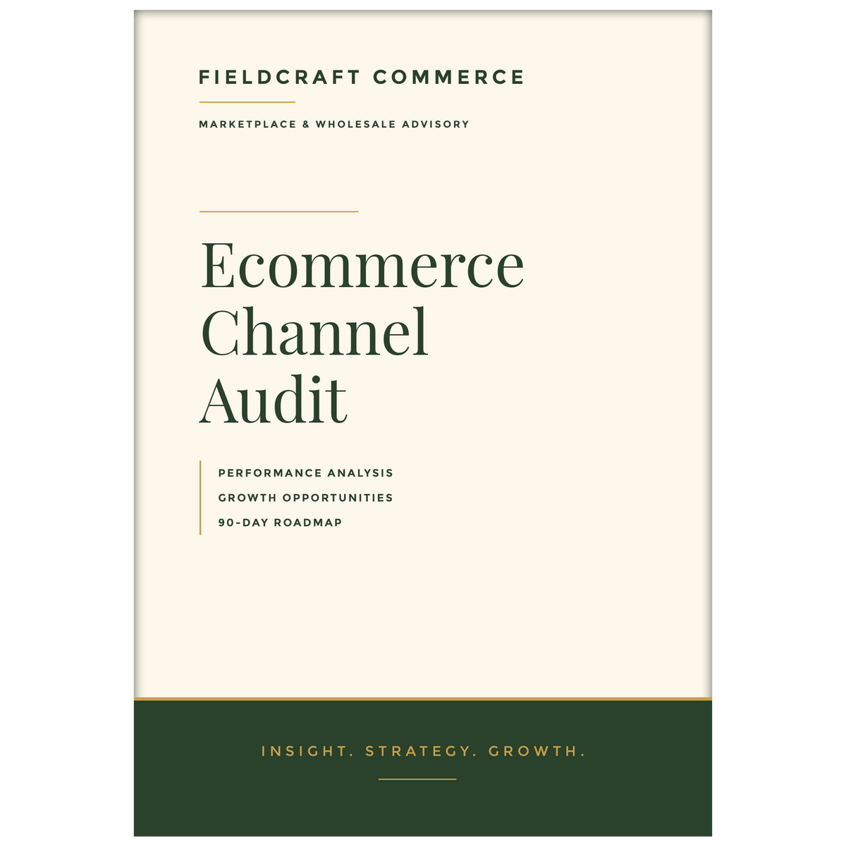 Ecommerce Channel Audit report cover by Fieldcraft Commerce