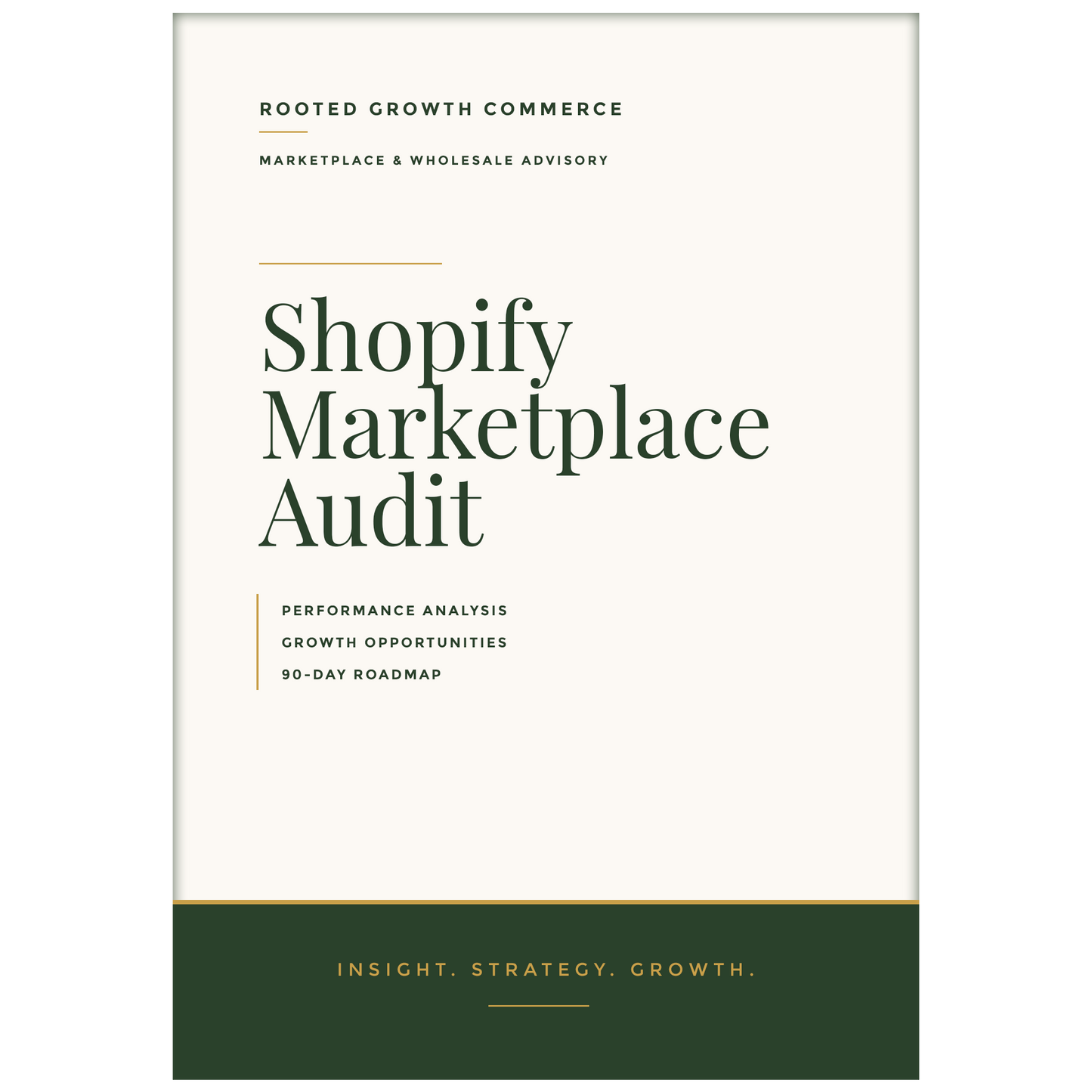 Shopify Store Audit