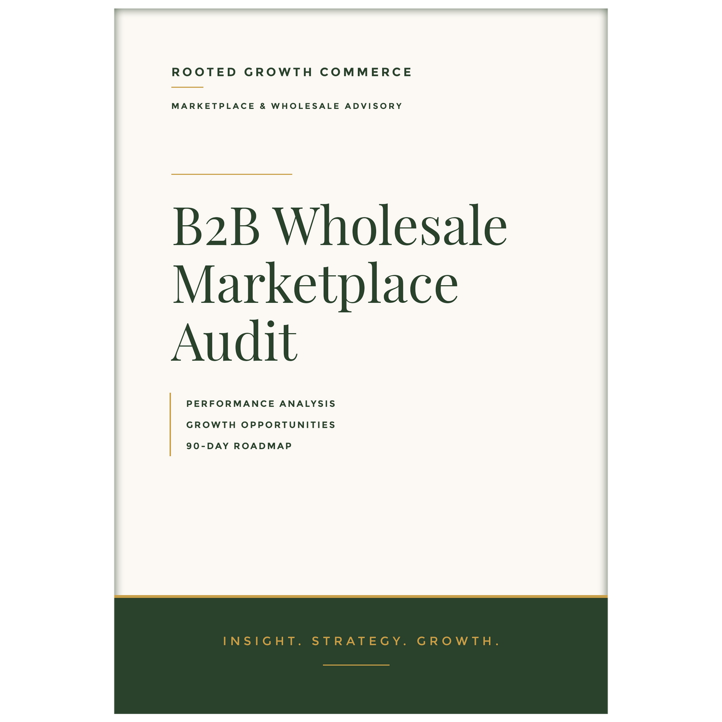 B2B Wholesale Ecommerce Audit