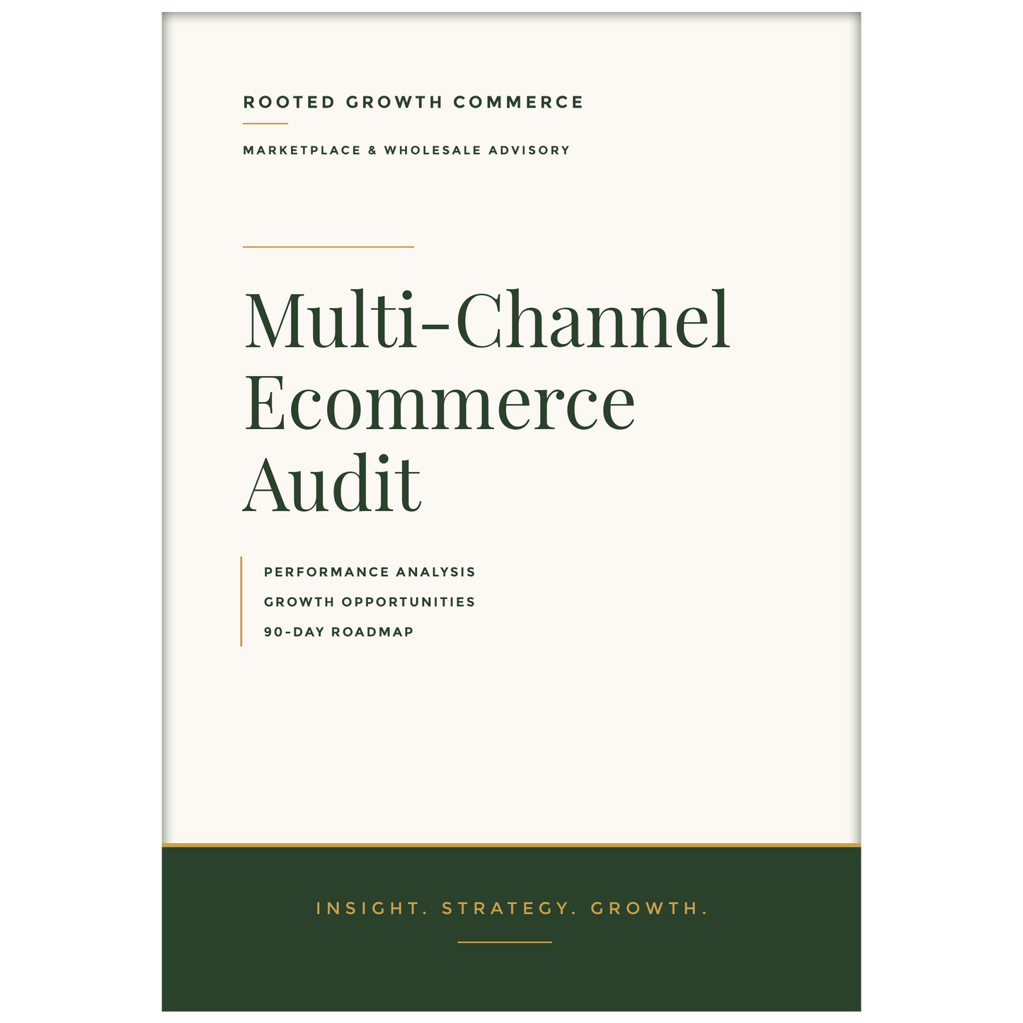 Multi-Channel Ecommerce Audit